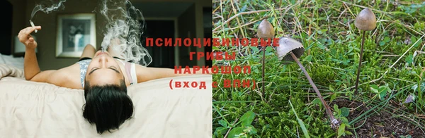 2c-b Лиски