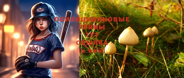 2c-b Лиски