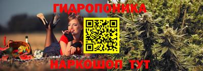 прущий лед Гатчина