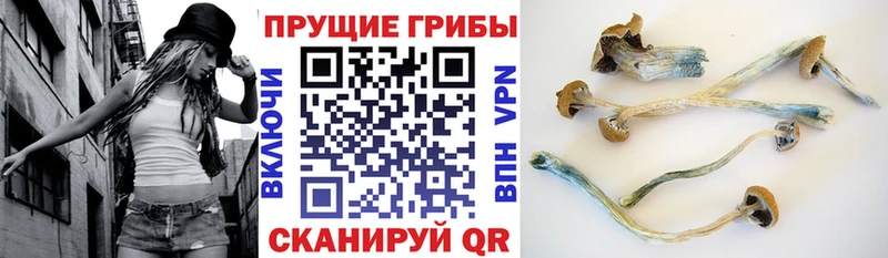 Галлюциногенные грибы прущие грибы  KRAKEN сайт  Самара 