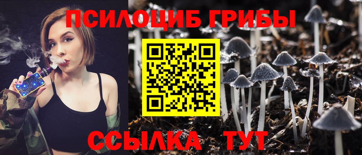Псилоцибиновые грибы мухоморы  что такое   Самара  Вход с VPN 